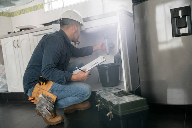 Best Emergency Plumbing Repair  in Svis, IL