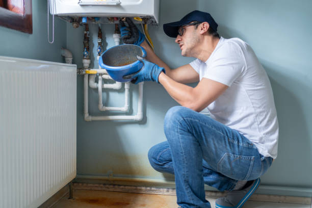 Best Plumbing Inspection Services  in Svis, IL