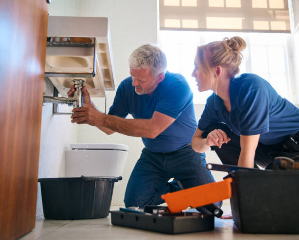 Best Commercial Plumbing Services  in Svis, IL